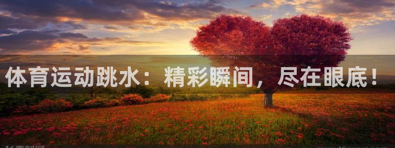 哈哈体育十年