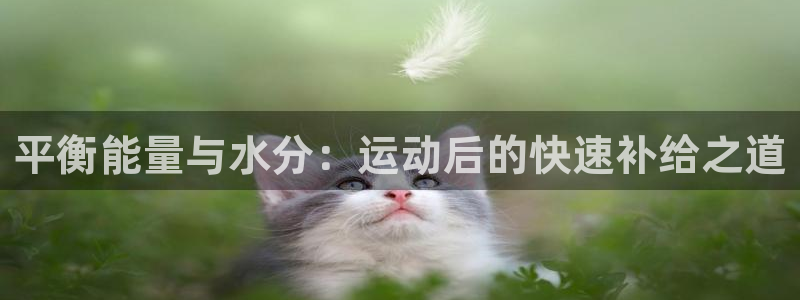 哈哈体育十年