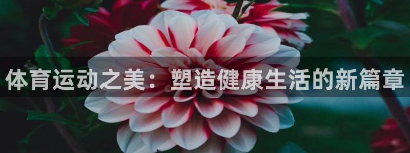 哈哈体育