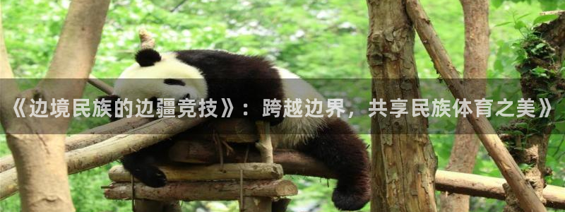 哈哈体育