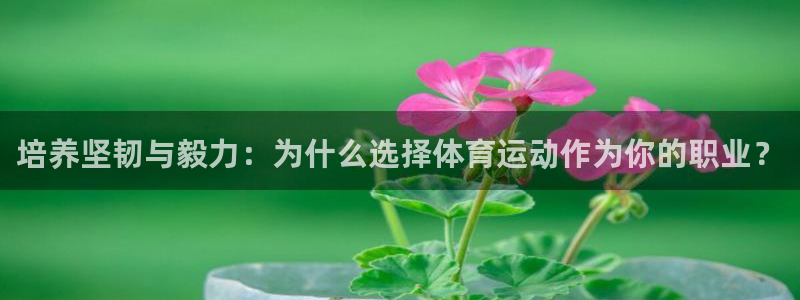 哈哈体育