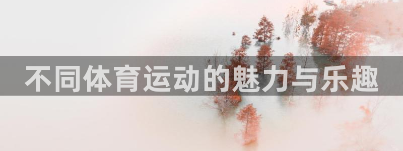 哈哈体育十年