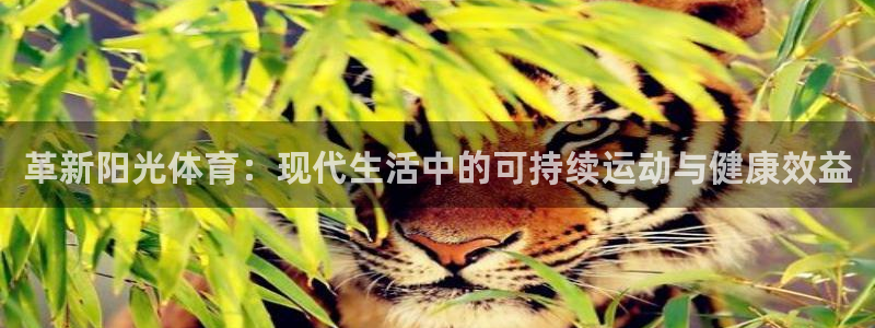 哈哈体育下载