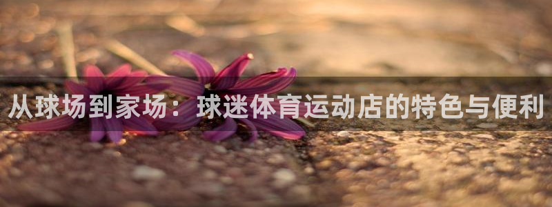 哈哈体育
