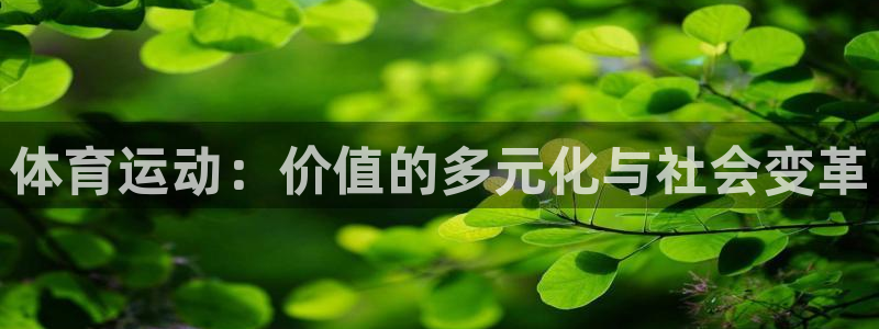 哈哈体育十年