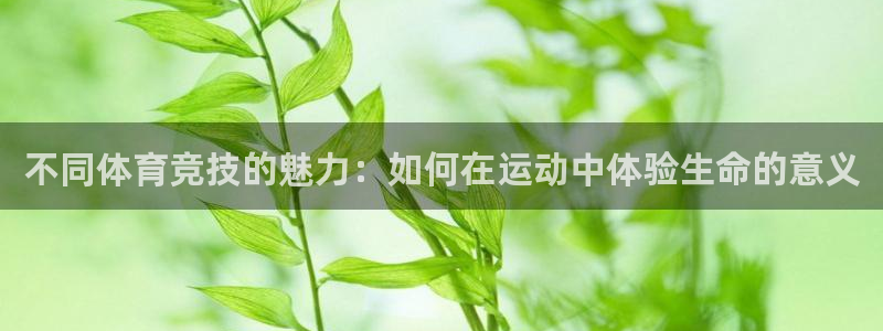 哈哈体育