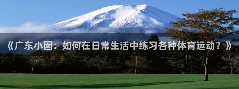 哈哈体育十年
