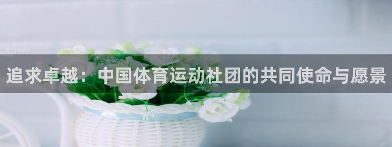 哈哈体育下载